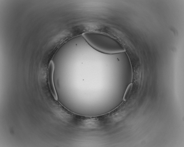 X0000111850505200907231431