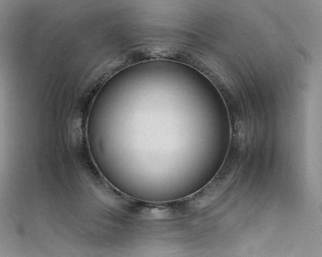 X0000111850506200907231431