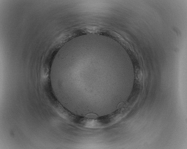 X0000111850507200907231431