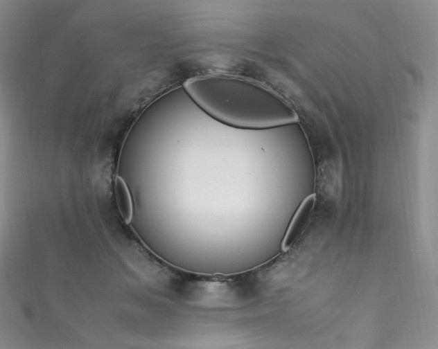 X0000111850509200907231431