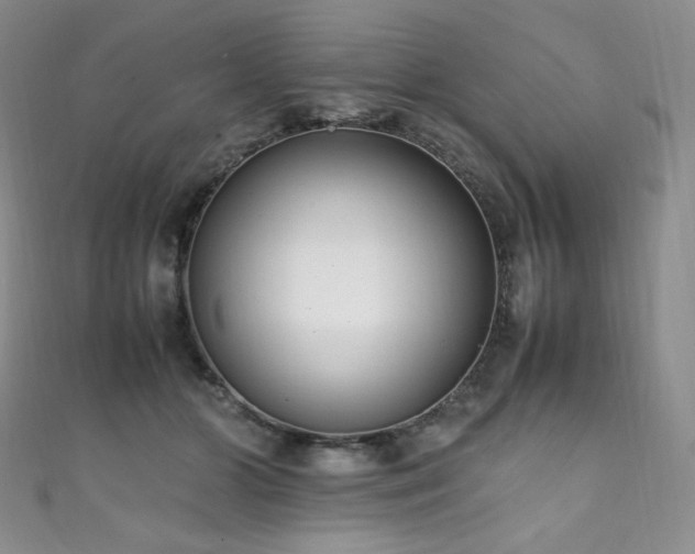 X0000111850510200907231431