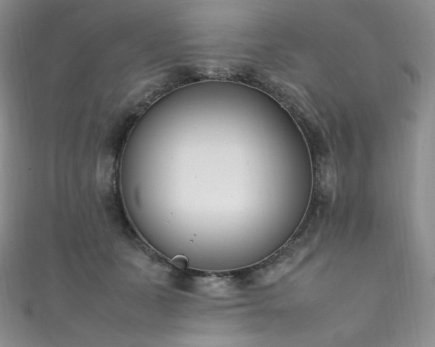 X0000111850511200907231431