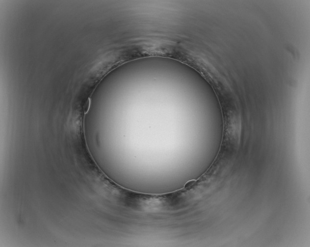 X0000111850513200907231431