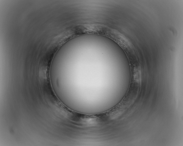 X0000111850514200907231431