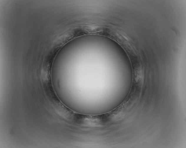 X0000111850515200907231431