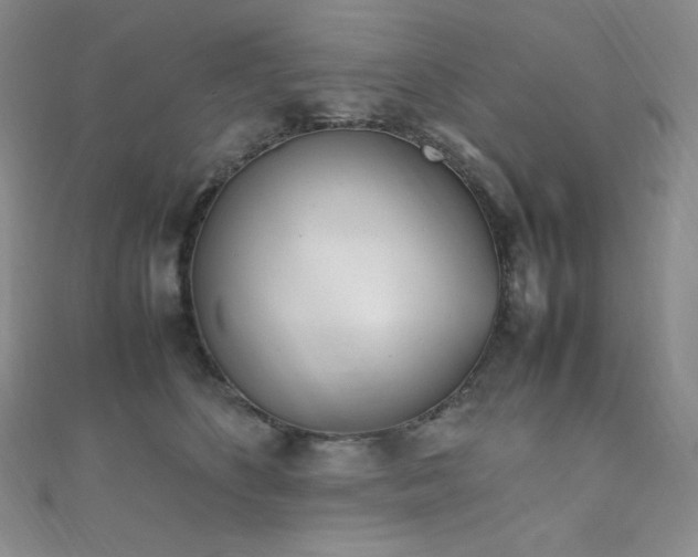 X0000111850516200907231431