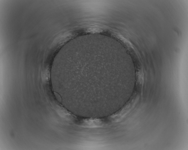 X0000111850517200907231431