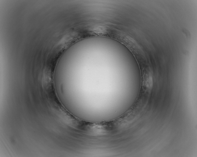 X0000111850518200907231431