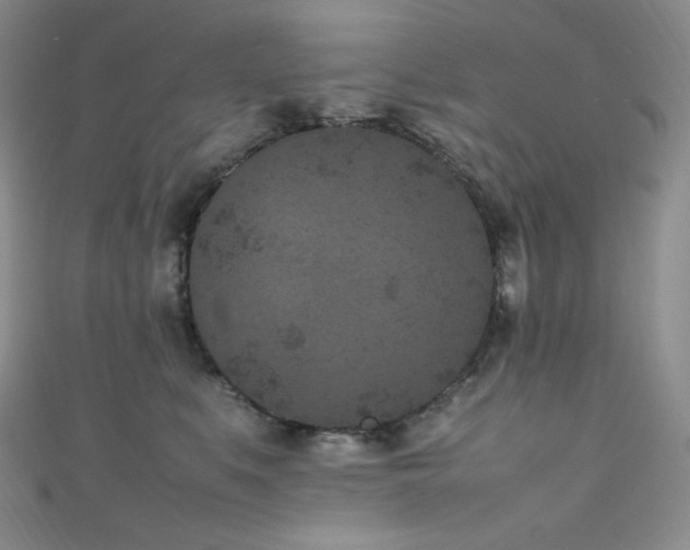 X0000111850519200907231431