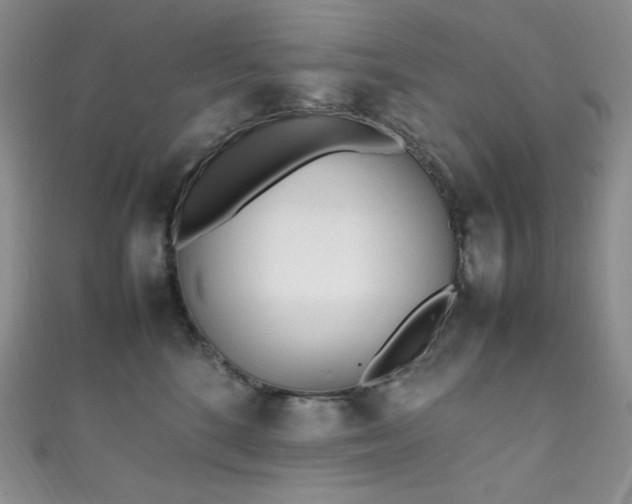 X0000111850520200907231431