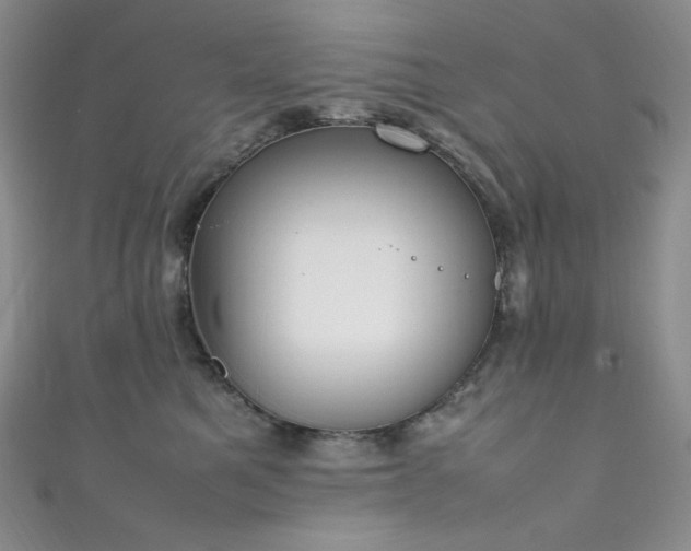 X0000111850521200907231431