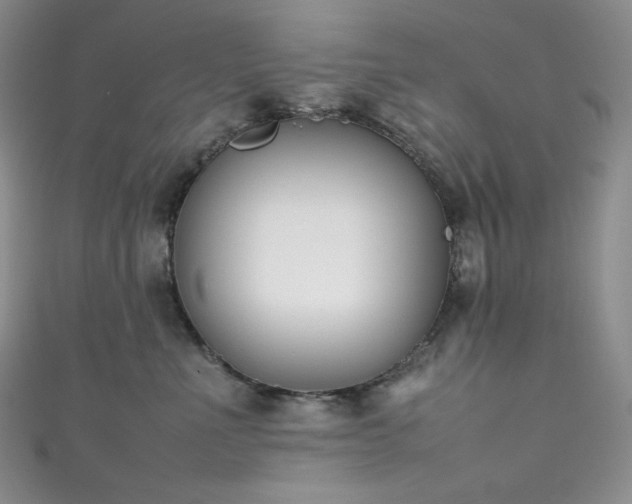 X0000111850523200907231431