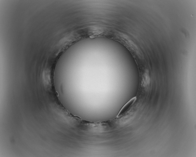 X0000111850524200907231431