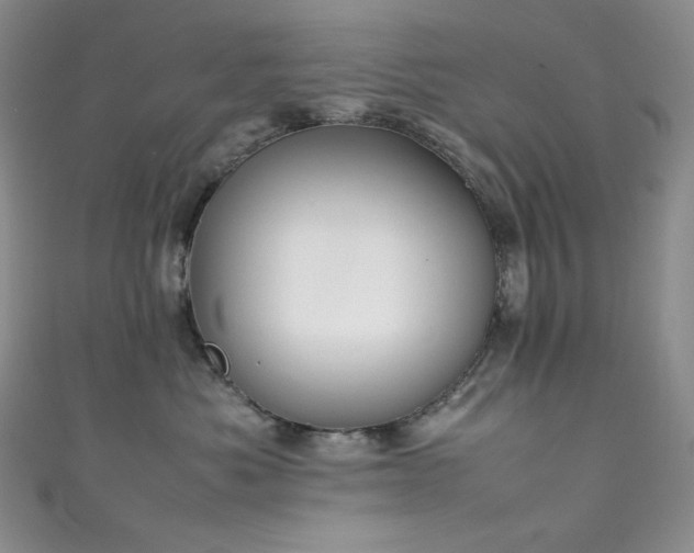X0000111850525200907231431