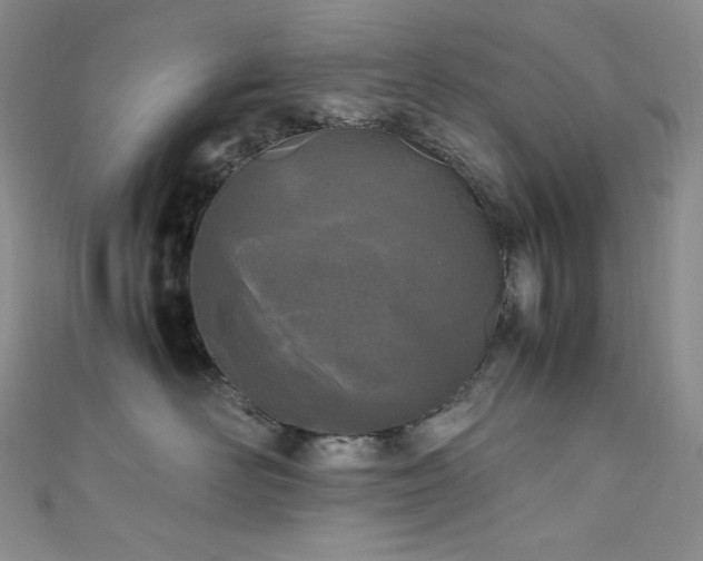 X0000111850526200907231431