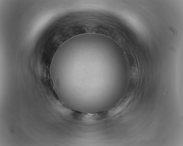 X0000111850527200907231431