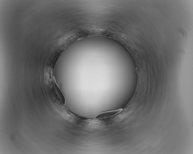 X0000111850528200907231431