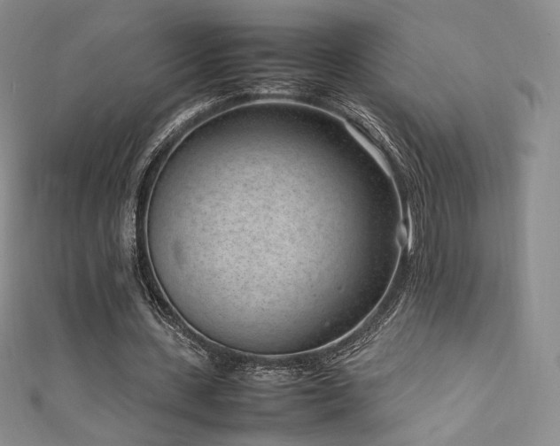 X0000111850531200907231430