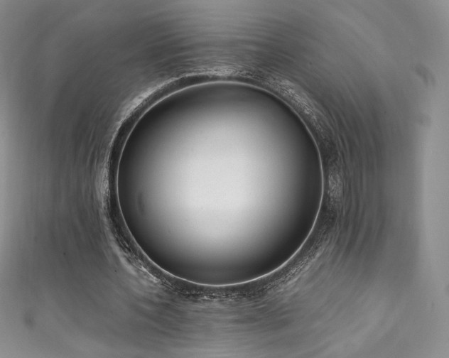 X0000111850532200907231430