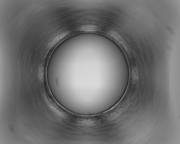X0000111850533200907231430