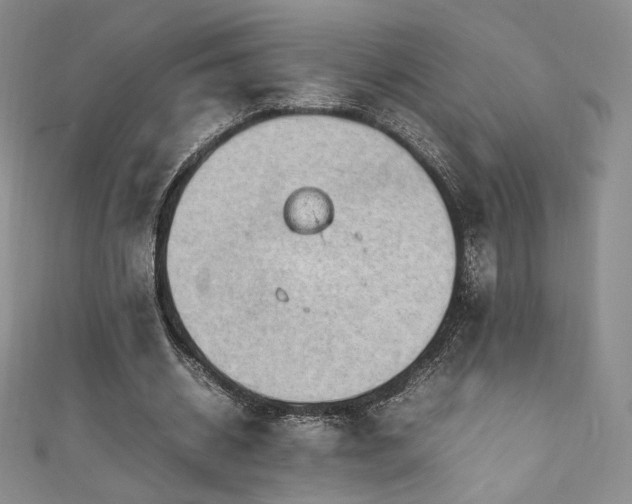 X0000111850534200907231430