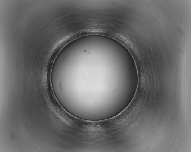 X0000111850535200907231430