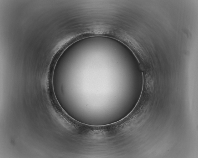 X0000111850536200907231430