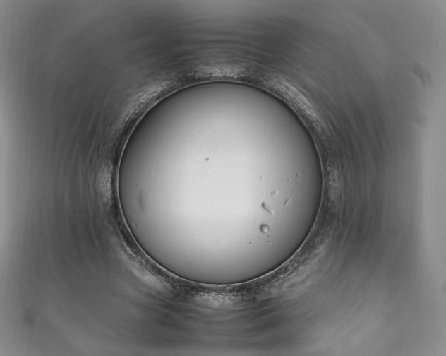 X0000111850537200907231430
