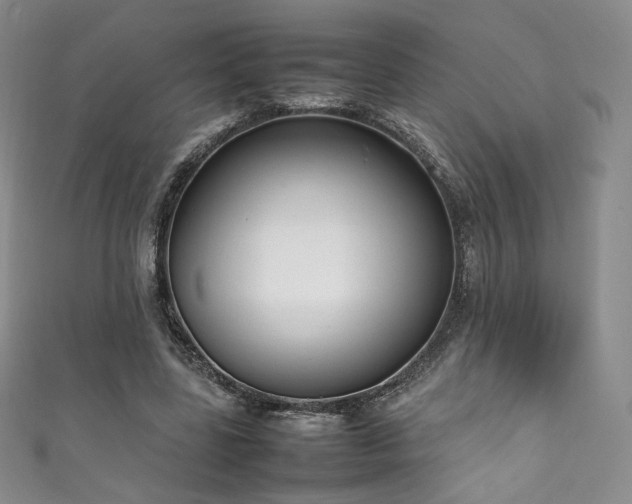 X0000111850539200907231430