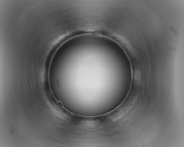 X0000111850540200907231430