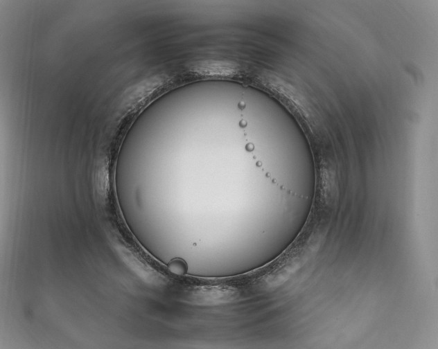 X0000111850541200907231430