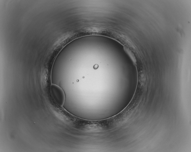 X0000111850544200907231430