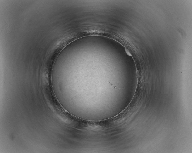 X0000111850547200907231431