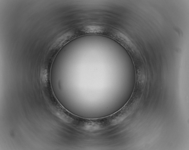 X0000111850549200907231431