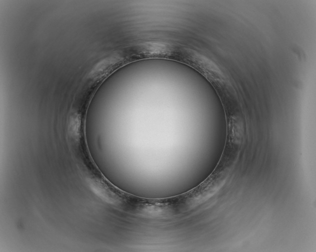 X0000111850550200907231431
