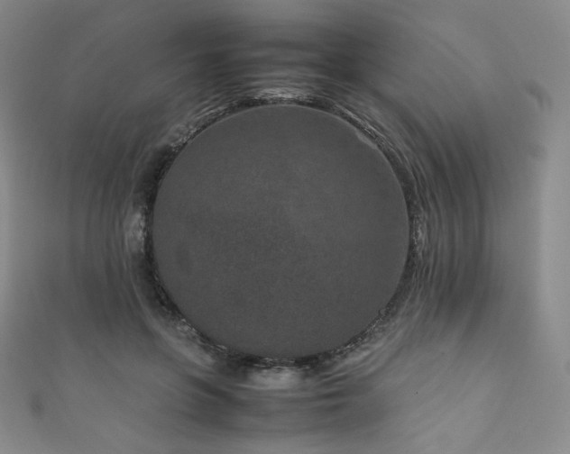 X0000111850551200907231431