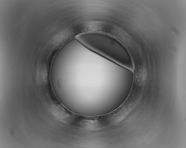 X0000111850552200907231431