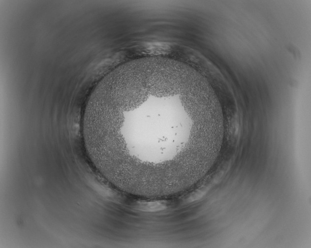 X0000111850553200907231431
