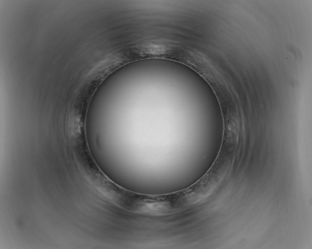 X0000111850555200907231431