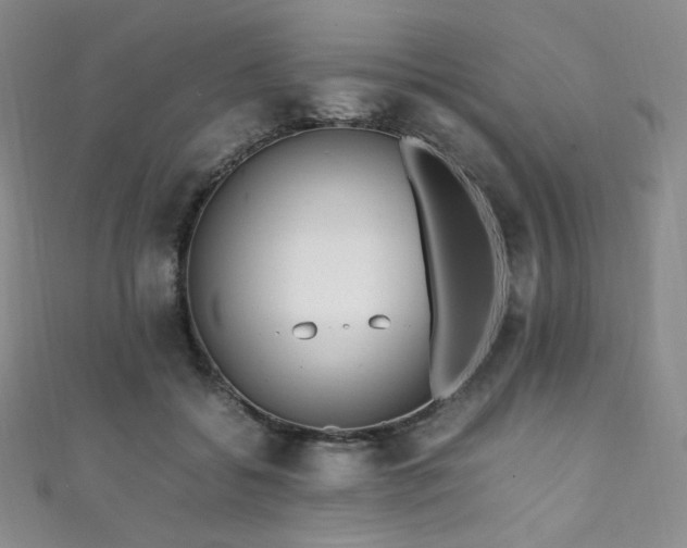 X0000111850556200907231431
