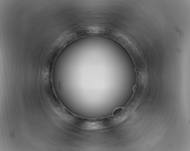X0000111850557200907231431
