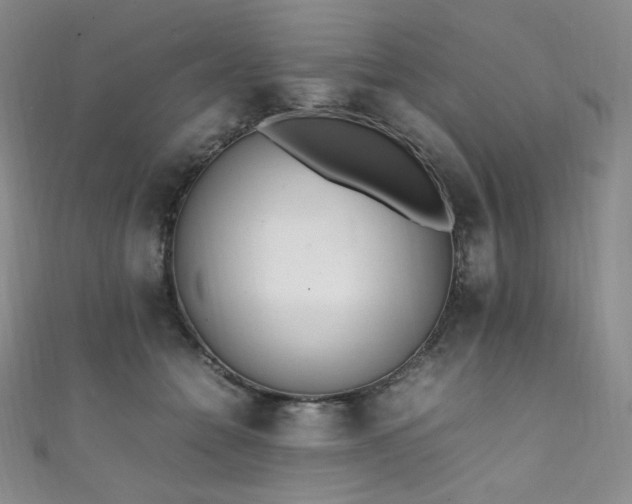 X0000111850558200907231431