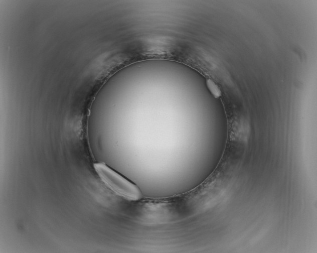 X0000111850560200907231431