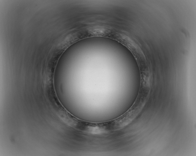 X0000111850561200907231431