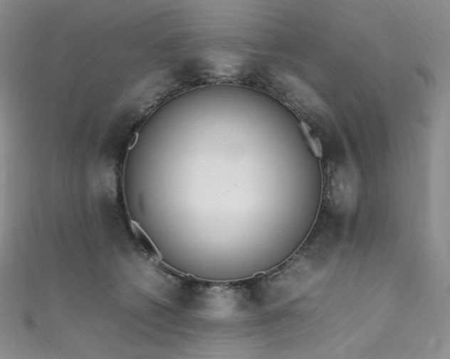X0000111850562200907231431