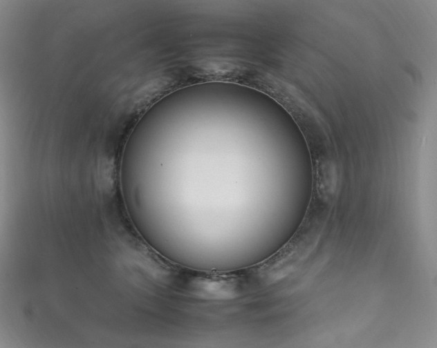X0000111850563200907231431