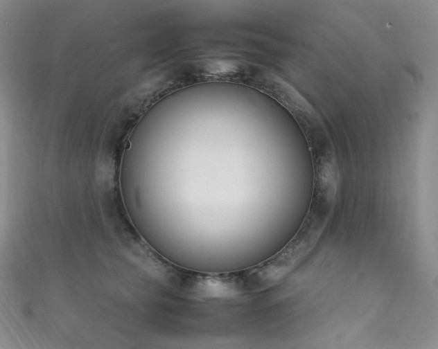 X0000111850565200907231431