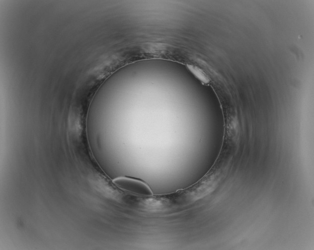 X0000111850566200907231431
