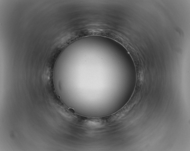X0000111850567200907231431