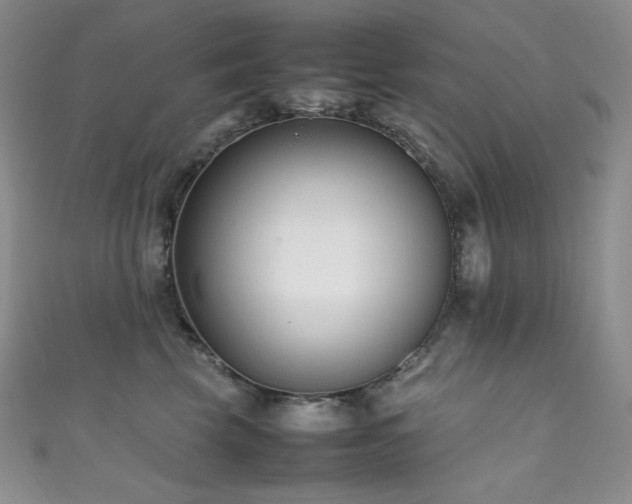 X0000111850569200907231431